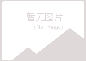 黑龙江冰夏因特网有限公司